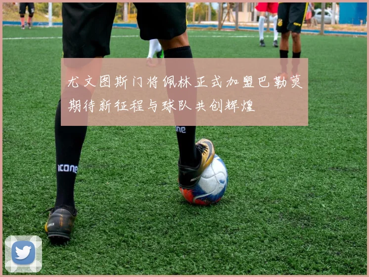尤文图斯门将佩林正式加盟巴勒莫期待新征程与球队共创辉煌